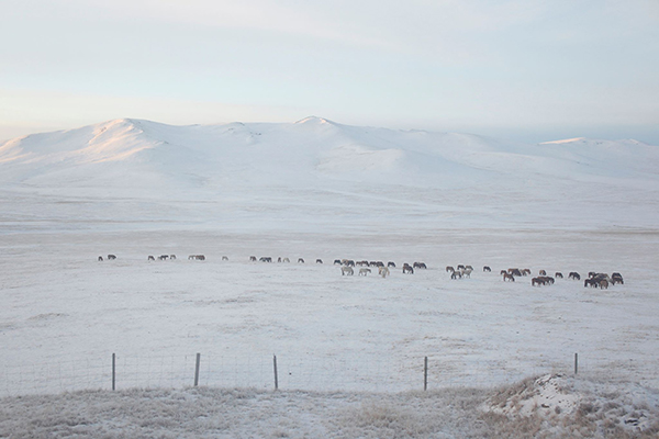 Trans-Siberia Railway